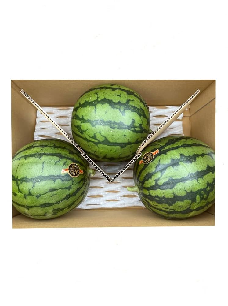 群馬県さん　スイカ　小玉すいか7玉(約6kg から7.5kg) Amazon.co.jp: 群馬県ブランド西瓜 藪塚こだますいか 秀品 3玉